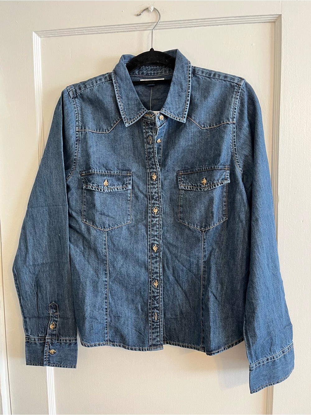 American Eagle Outfitters Blue Denim Button-Front Shirt NWT